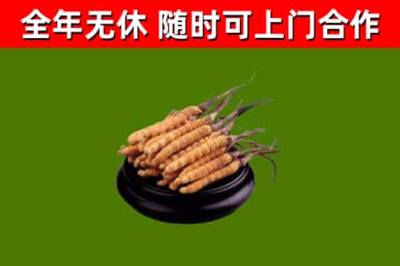 永新县烟酒回收冬虫夏草.jpg